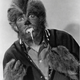 Illustration for article titled The Strangest Werewolves Ever to Grace the Screen